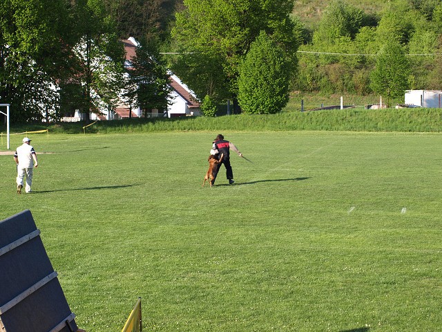 www.atibox.net * www.euroboxer.eu * www.boxergenealogia.eu